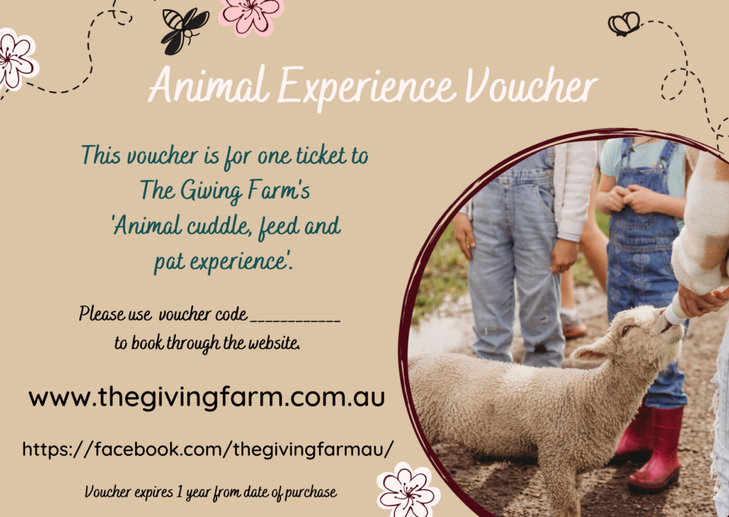 Gift Voucher Animal Cuddle, Feed and Pat Experience The Giving Farm